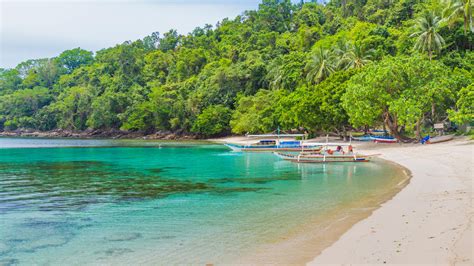 stl puerto princesa|Cheap Flights from St Louis (STL) to Puerto Princesa (Palawan) .